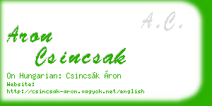 aron csincsak business card