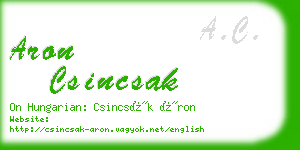 aron csincsak business card